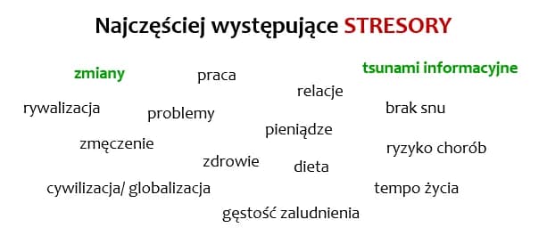 Chmura słów z najczęściej występującymi stresorami: praca, relacje, pieniądze, zdrowie, brak snu, tempo życia